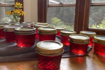 Currant Jelly